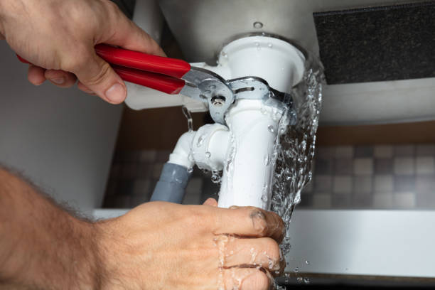Best Mold removal after water damage  in Rapids, NY