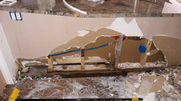 Best Ceiling water damage repair  in Rapids, NY